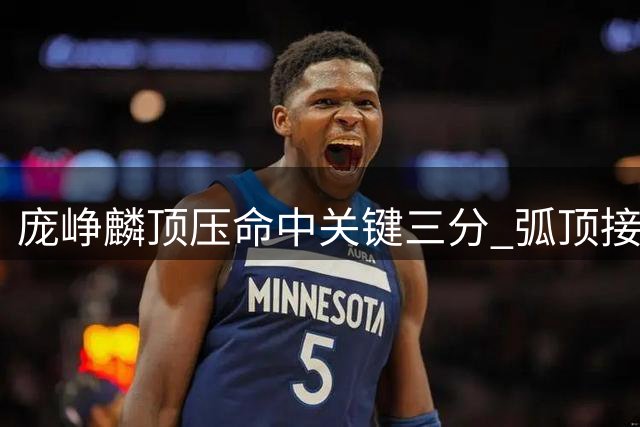 庞峥麟顶压命中关键三分 弧顶接球压哨绝杀